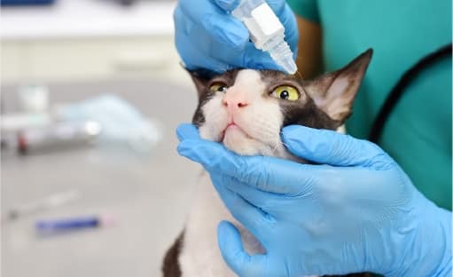 あきらめない眼科イメージ写真